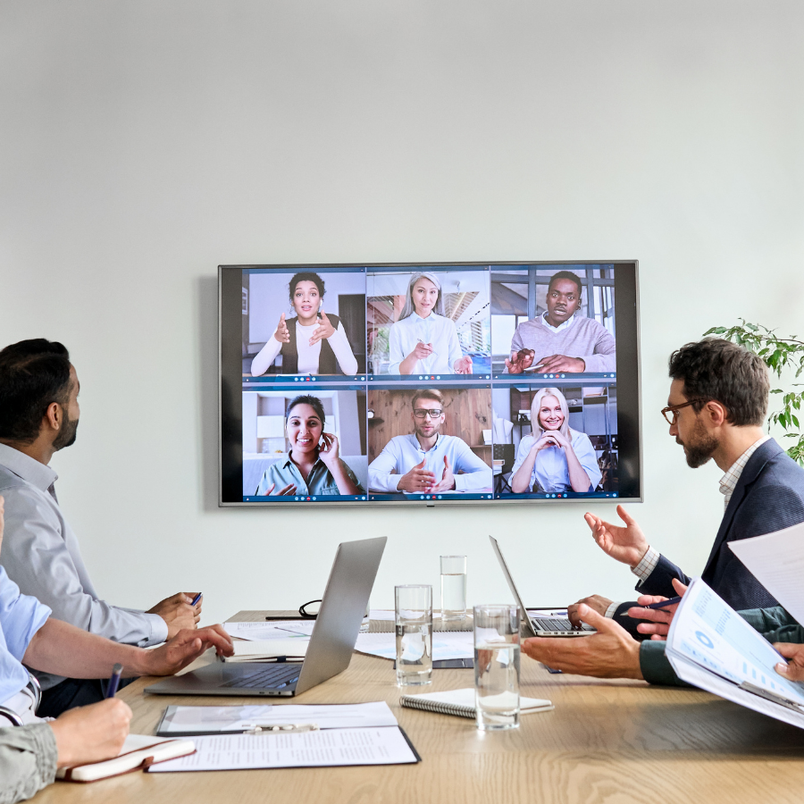 Video Conference with Business Process Consultants